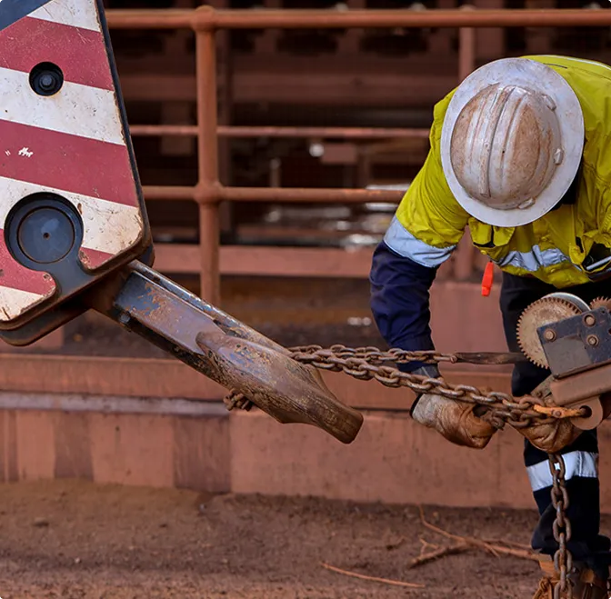 Szakember a cég mögött